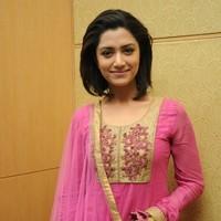 Mamta Mohandas at Anwar audio launch - Pictures | Picture 96041